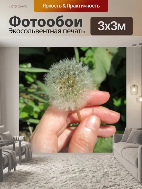 Фотообои Одуванчик
