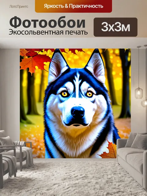 Фотообои сладкое выражение хаски, его глаза словно светятся от внутреннего тепла, а детали морды четко прорисованы