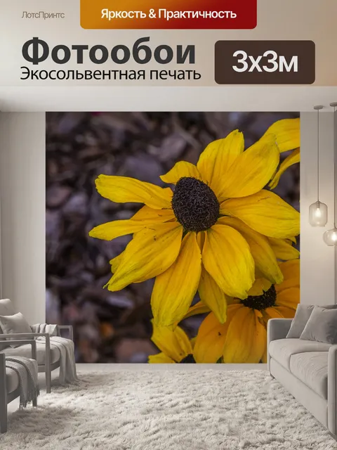 Фотообои черноглазая сьюзен подсолнухи