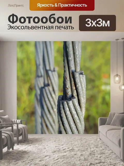 Фотообои Провода