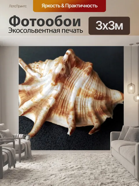 Фотообои Морская ракушка