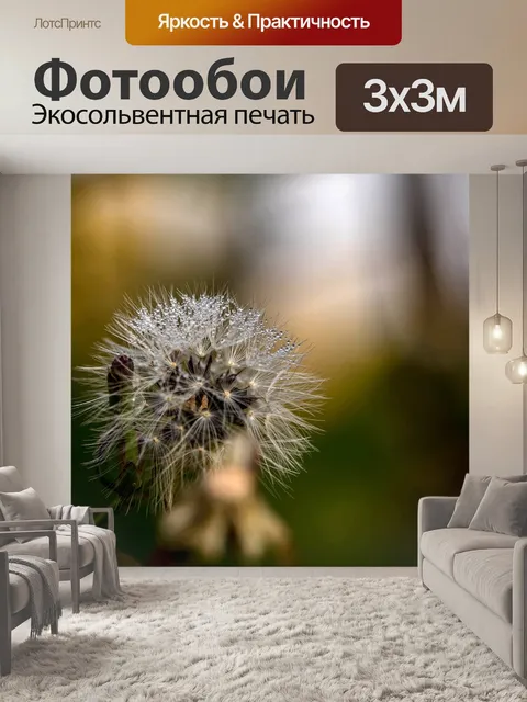 Фотообои Одуванчик