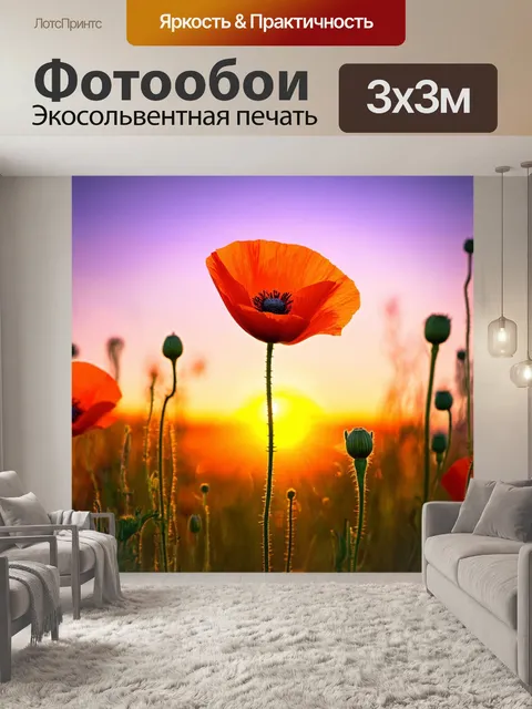 Фотообои с маком на фоне вечернего неба, солнце садится, создавая теплые оттенки оранжевого и пурпурного