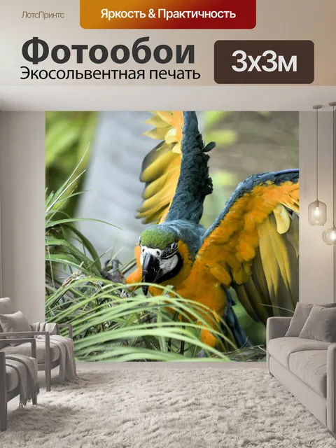 Фотообои Ара
