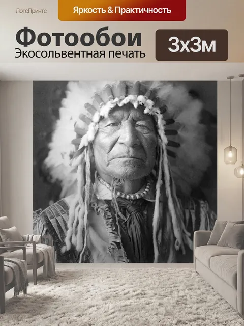 Фотообои Исторический Индийская американский глав