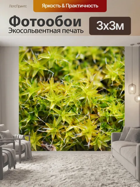 Фотообои Грин