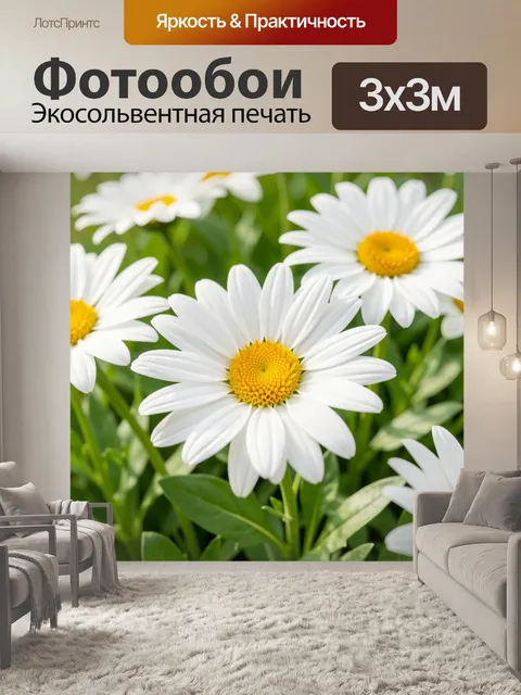Фотообои Белые ромашки крупным планом