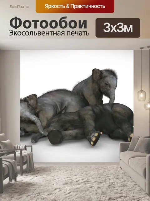 Фотообои Слон