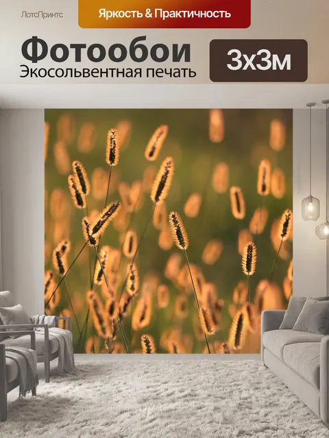 Фотообои Трава