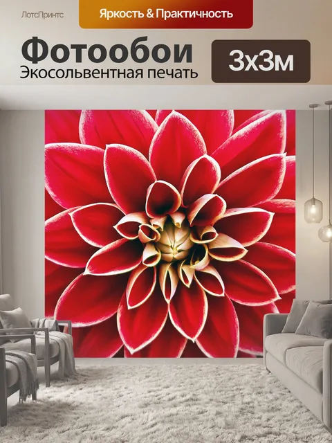 Фотообои Георгин цветок красный