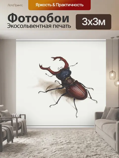 Фотообои Жук винтаж арт старый