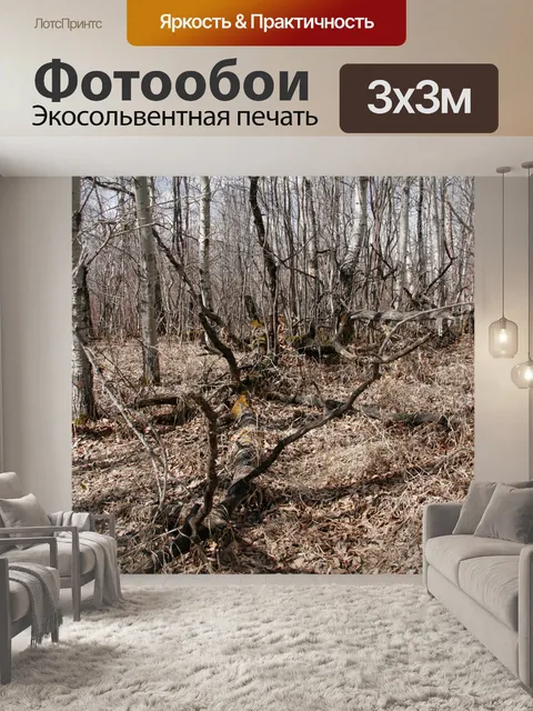 Фотообои Падший Березка