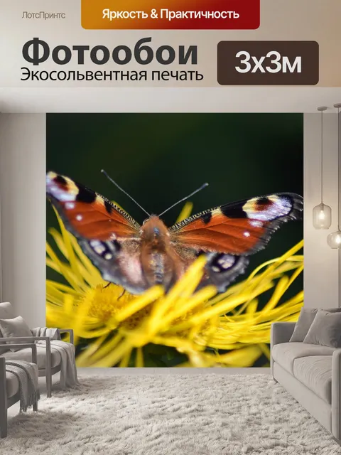 Фотообои Павлин
