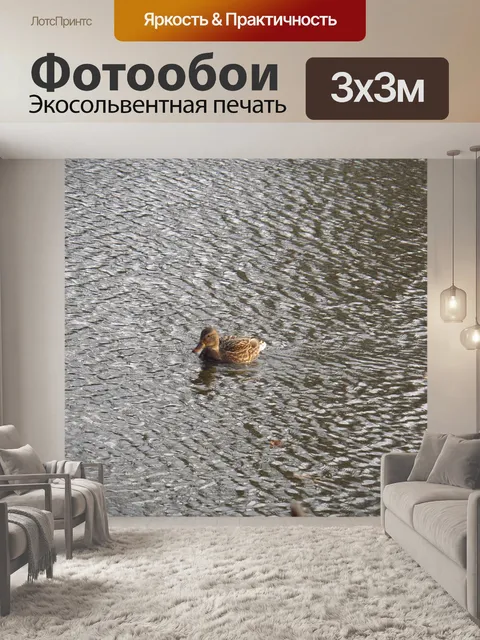 Фотообои Утка
