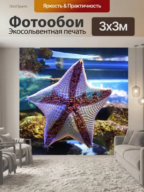 Фотообои звезда рыба с красными узелками