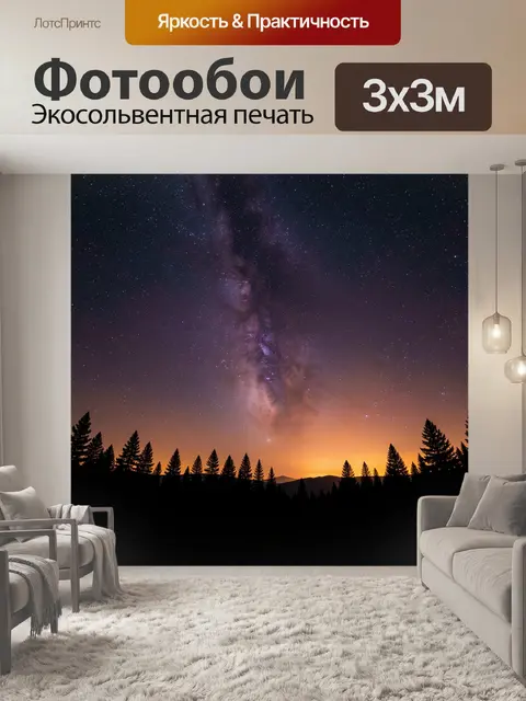 300 × 300 см · Экосольвентная печать