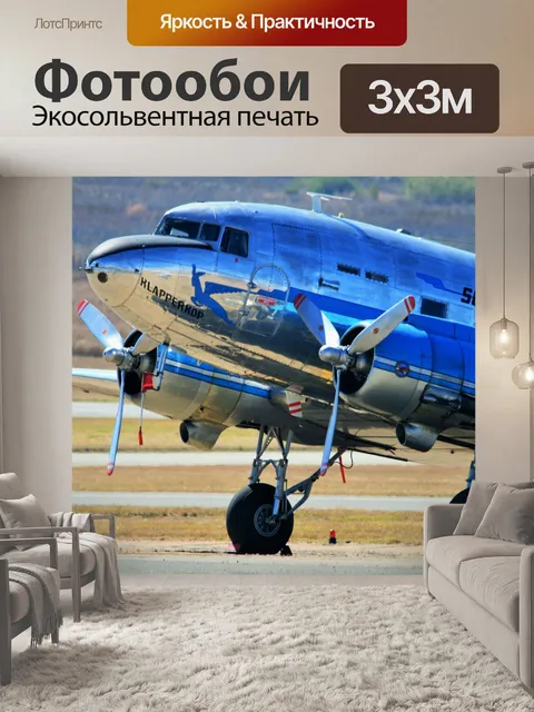Фотообои Дакота DC-3 на авиашоу