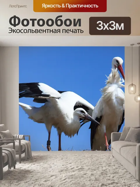 Фотообои Аист
