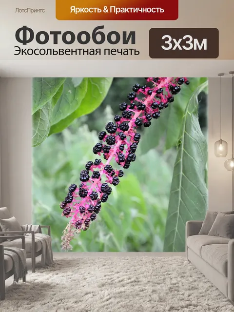 Фотообои Цветы 1,13