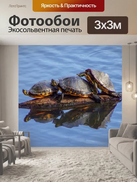 Фотообои Вода
