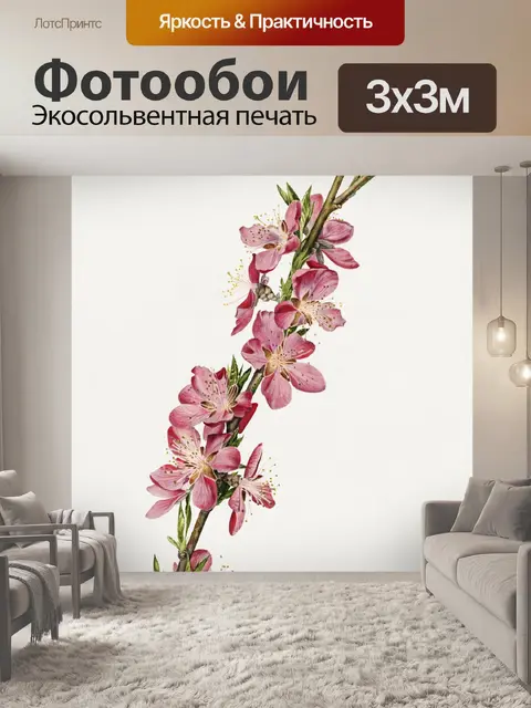 Фотообои Цветение миндаля сакуры филиал искусство