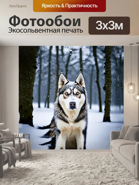 Фотообои сибирский хаски, играющий в легком снегопаде, его шерсть покрыта нежным слоем свежего снега