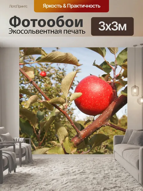 Фотообои Яблоко