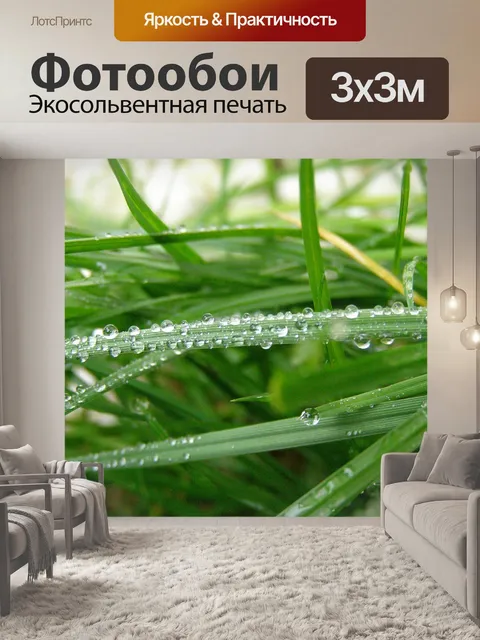 Фотообои Капли дождя