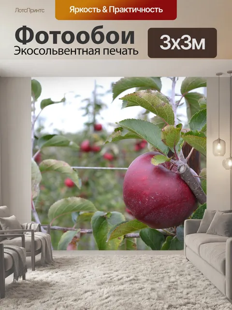 Фотообои Яблоко