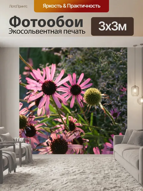 Фотообои Фиолетовые цветы конуса