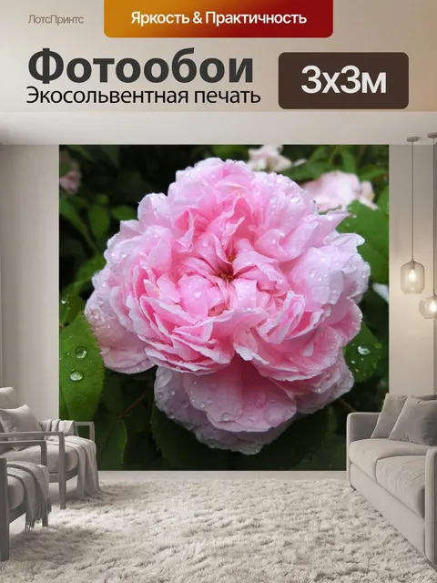 Фотообои Крупный план
