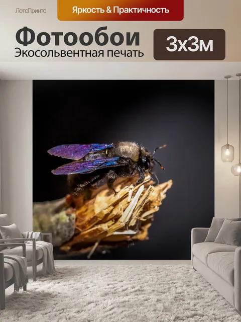 Фотообои Макрос