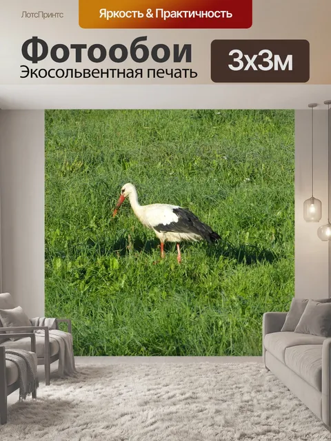 Фотообои Аист