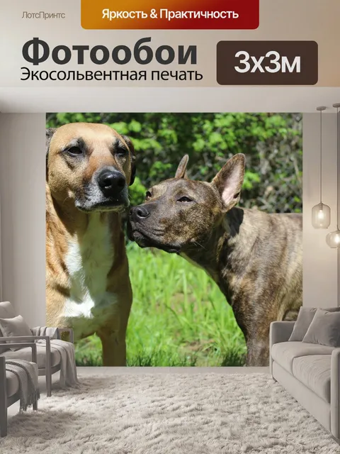 Фотообои Собаки-спасатели