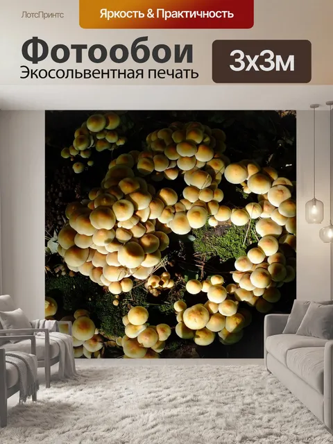 Фотообои Лес
