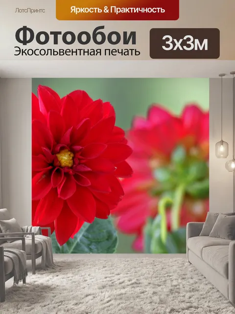 Фотообои История Красной Далии