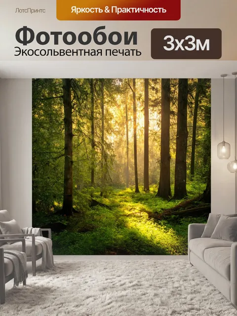 Фотообои лес с идиллическими моментами в утреннем свете