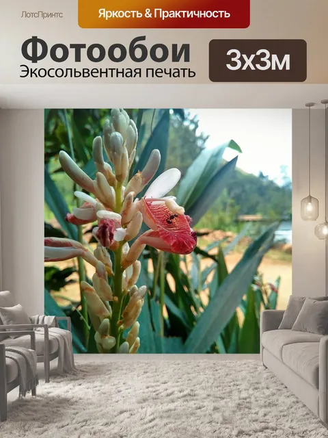 Фотообои Цветок