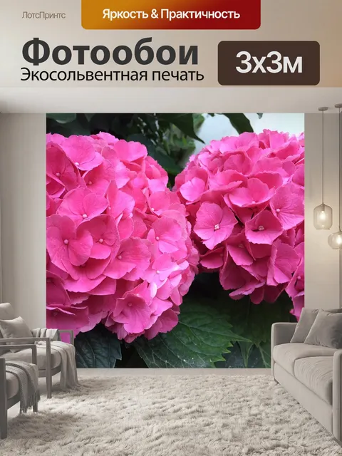 Фотообои Гортензии