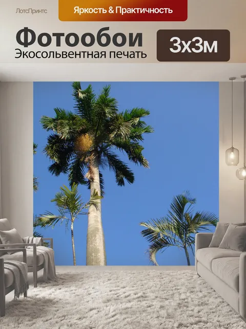 Фотообои Кокосовое дерево