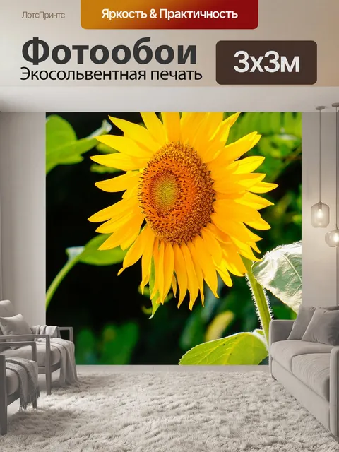 Фотообои Подсолнечник, желтый цветок, Helianthus