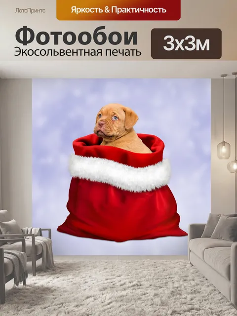 Фотообои Рождественский щенок