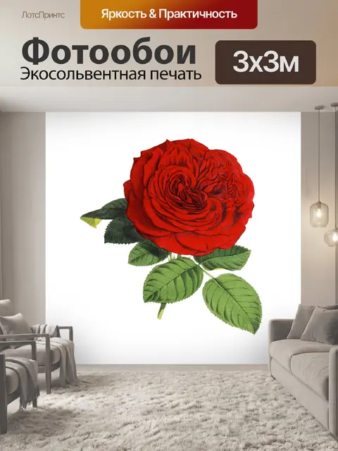 Фотообои Роза Красная Винтаж Клипарт
