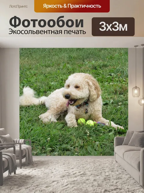 Фотообои Золотой каракули