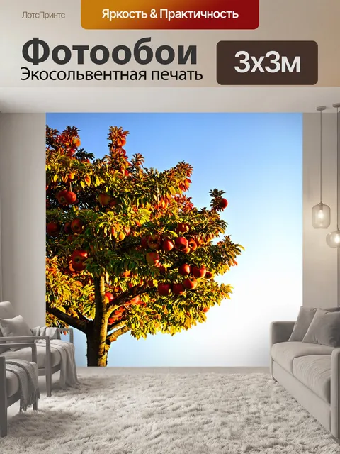 Фотообои осенняя яблоня с яркими плодами на фоне заката