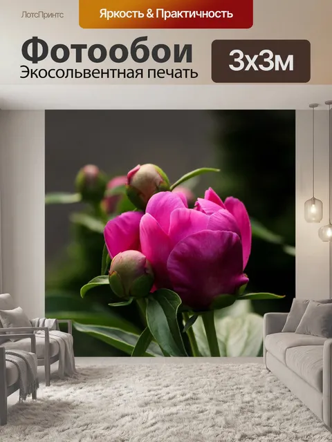 Фотообои Пион буд