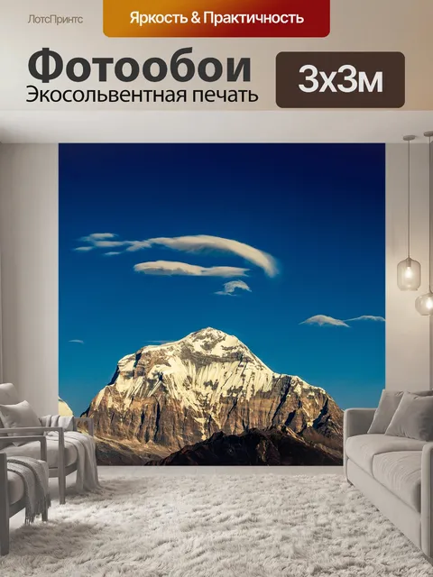 Фотообои Птицы