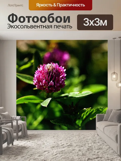 Фотообои Цветок