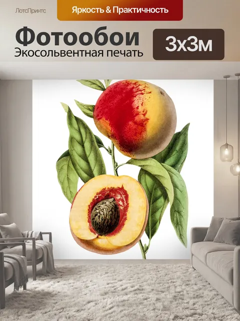 Фотообои Винтажные иллюстрации фруктов персика