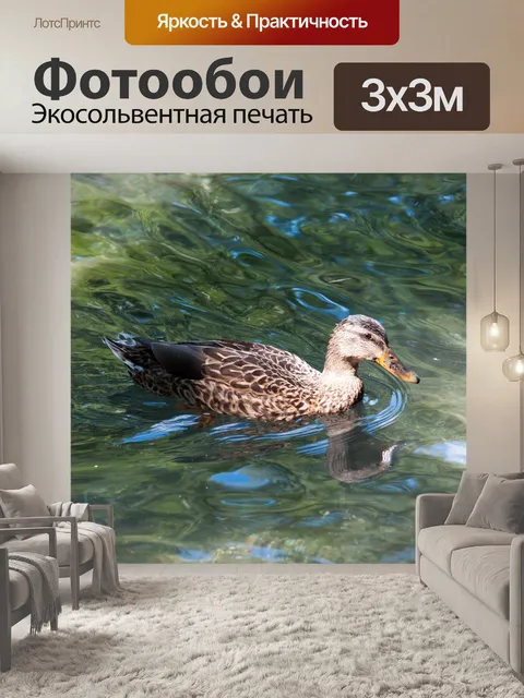 Фотообои Птица